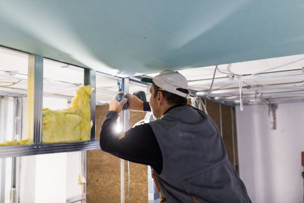 Best Crawl Space Insulation  in Vandalia, MO