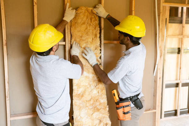 Best Insulation Contractors for Homes  in Vandalia, MO