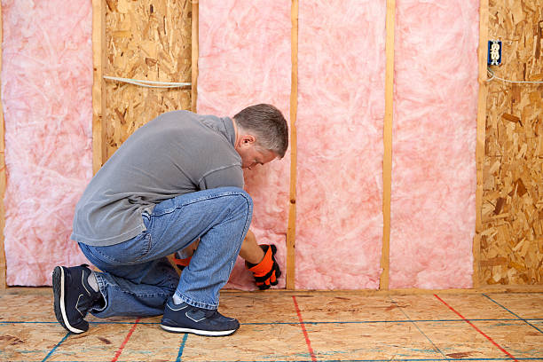 Best Attic Insulation Installation  in Vandalia, MO