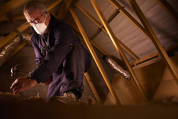 Best Insulation Repair Services  in Vandalia, MO