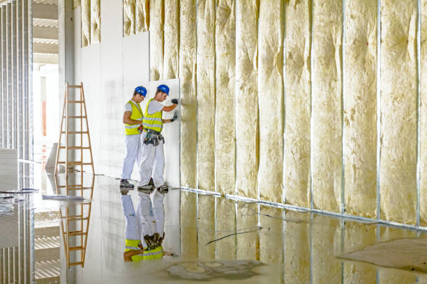 Best Wall Insulation Contractor  in Vandalia, MO
